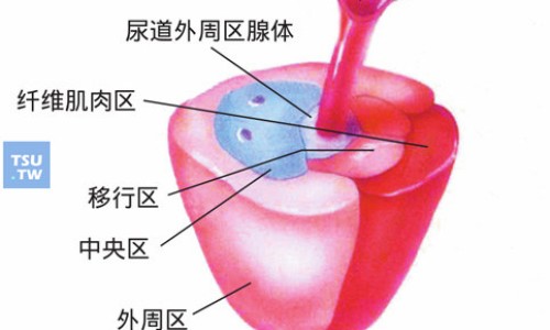 瑞珠聚乙烯醇滴眼液一天滴几次-瑞珠聚乙烯醇滴眼液有消炎作用吗,中国瑞珠聚乙烯醇滴眼液副作用网站